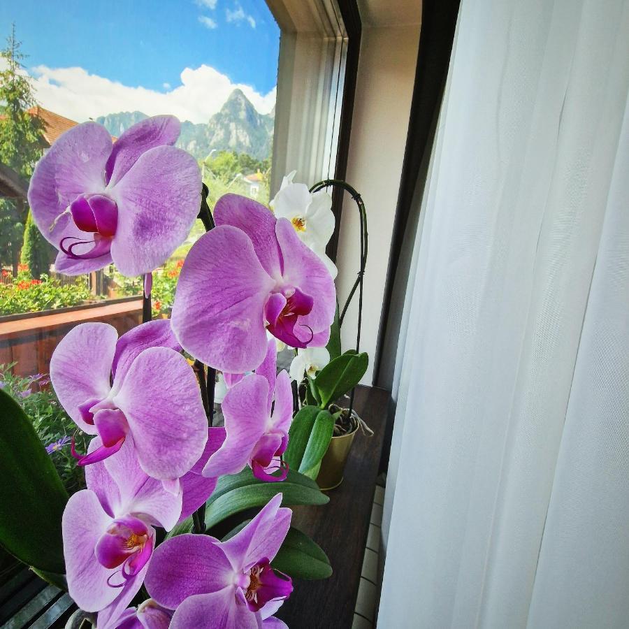 Amor Tirol Busteni (Adults Only) 外观 照片