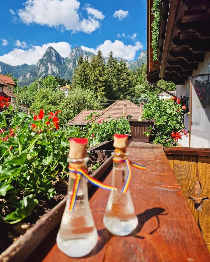 Amor Tirol Busteni (Adults Only) 外观 照片