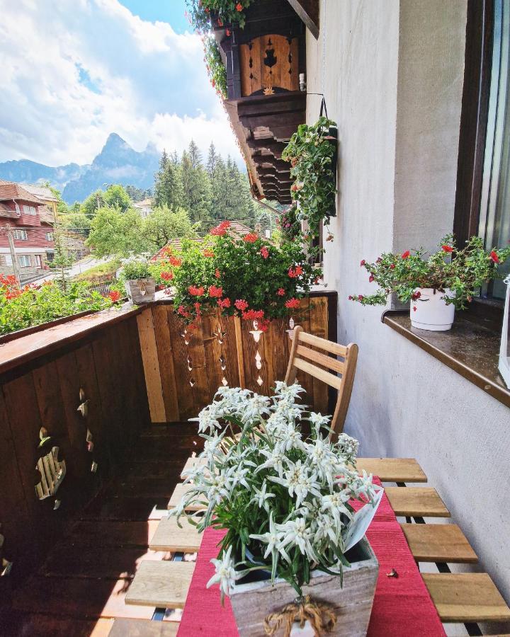 Amor Tirol Busteni (Adults Only) 外观 照片