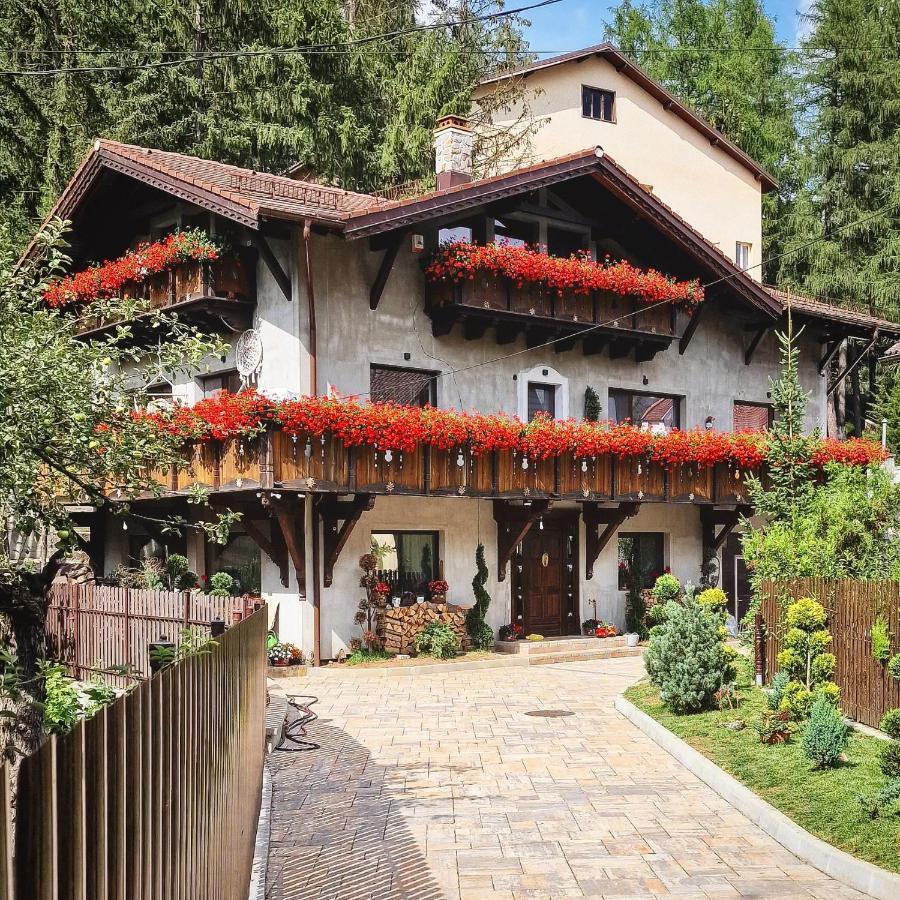 Amor Tirol Busteni (Adults Only) 外观 照片