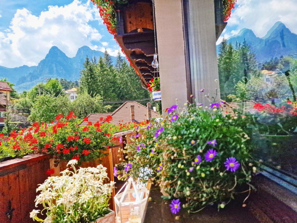 Amor Tirol Busteni (Adults Only) 外观 照片