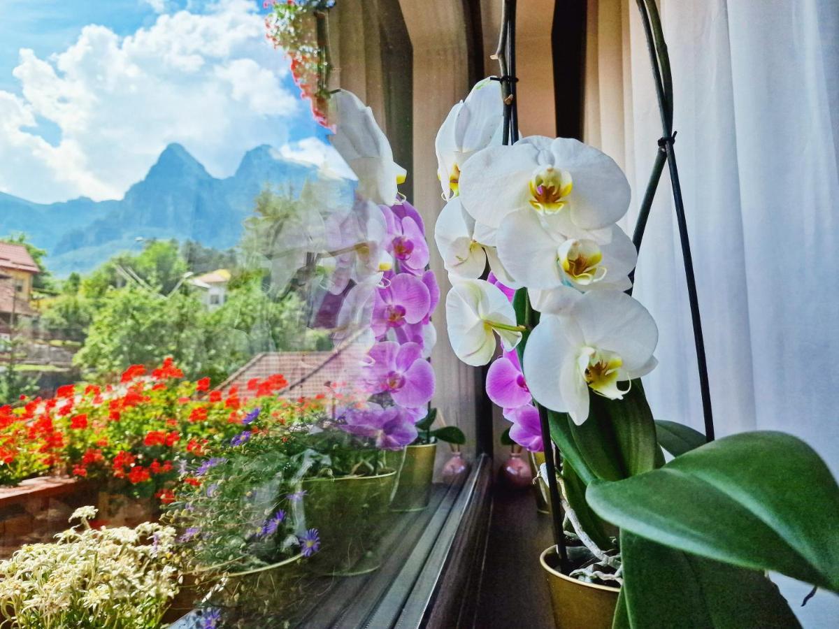Amor Tirol Busteni (Adults Only) 外观 照片