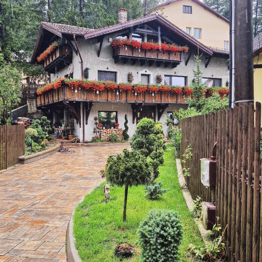 Amor Tirol Busteni (Adults Only) 外观 照片