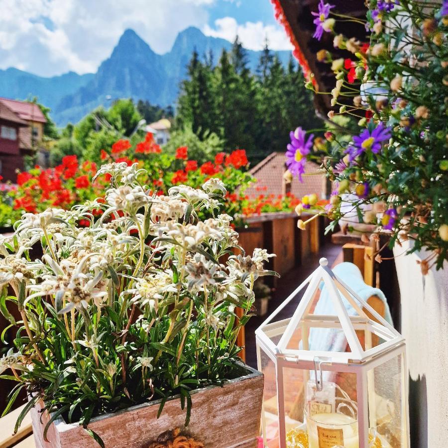 Amor Tirol Busteni (Adults Only) 外观 照片