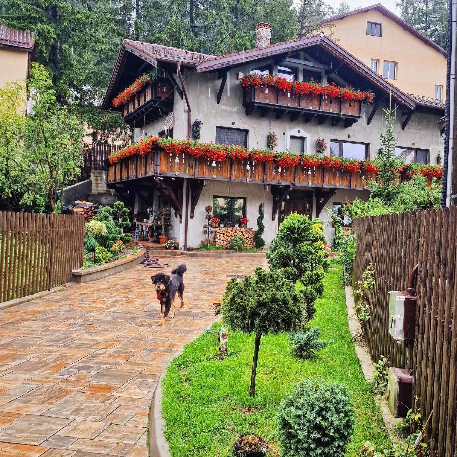 Amor Tirol Busteni (Adults Only) 外观 照片