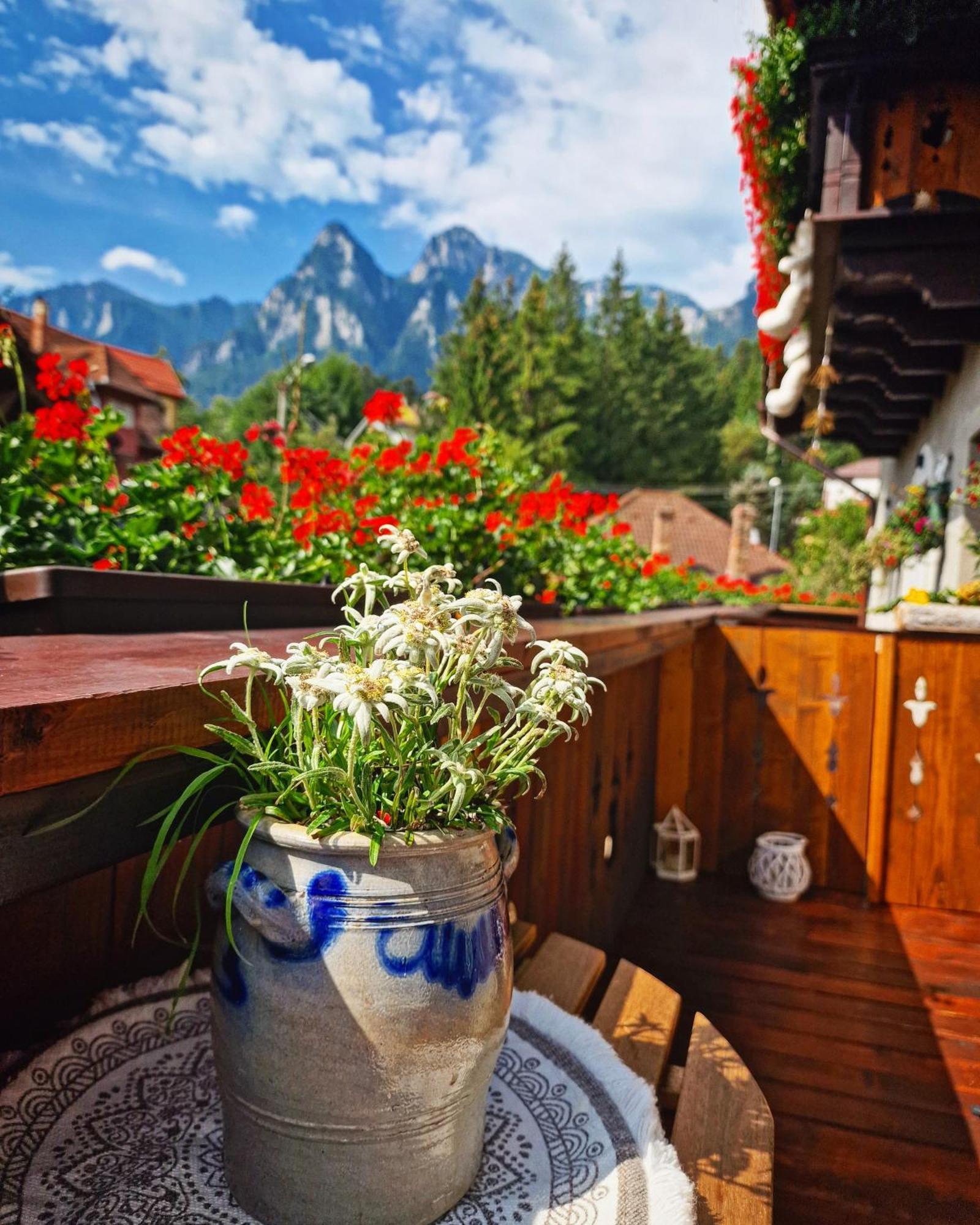 Amor Tirol Busteni (Adults Only) 外观 照片